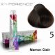 Coloration Cheveux Multivitaminée - 5 Marron Clair - 100ml