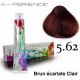 Coloration Cheveux Multivitaminée - 5.62 Brun écarlate Clair - 100ml