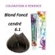 Coloration cheveux multivitaminée - 6.1- Blond foncé cendré- 100ml