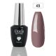 Vernis Permanent Professionnel UV/LED Longue Tenue Réf:049