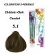 Coloration Cheveux Multivitaminée - 5.1 - Châtain Clair Cendré - 100ml