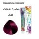 Coloration Cheveux Multivitaminée - 4.62 Châtain Ecarlate - 100ml -