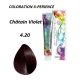 Coloration Cheveux Multivitaminée - 4.20 Châtain Violet - 100ml -