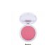 Fards à Joues - Professional Blush On - 54