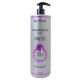 RENEE BLANCHE SHAMPOING SILVER  1L