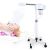 Vapozone - Vaporisateur Professionnel Vertical pour Soin Visage