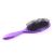 Brosse à Cheveux Plastic Mir - Violet