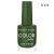 Vernis à Ongles - Color Fashion - 172