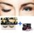 Faux Cils Naturels 3D Luxury - 31 + Colle Faux Cils